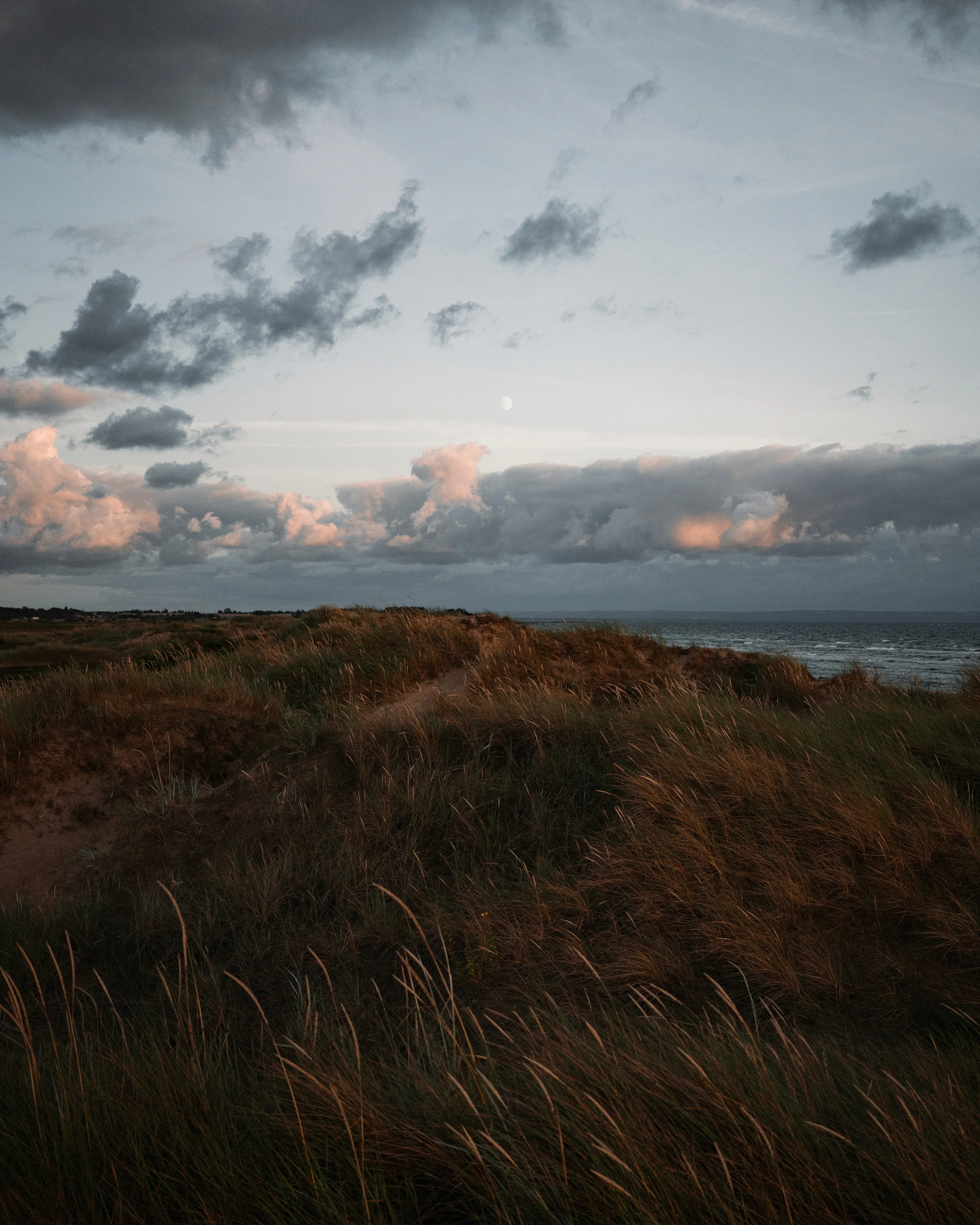 Dramatic clouds over tall grass and dunes by the sea