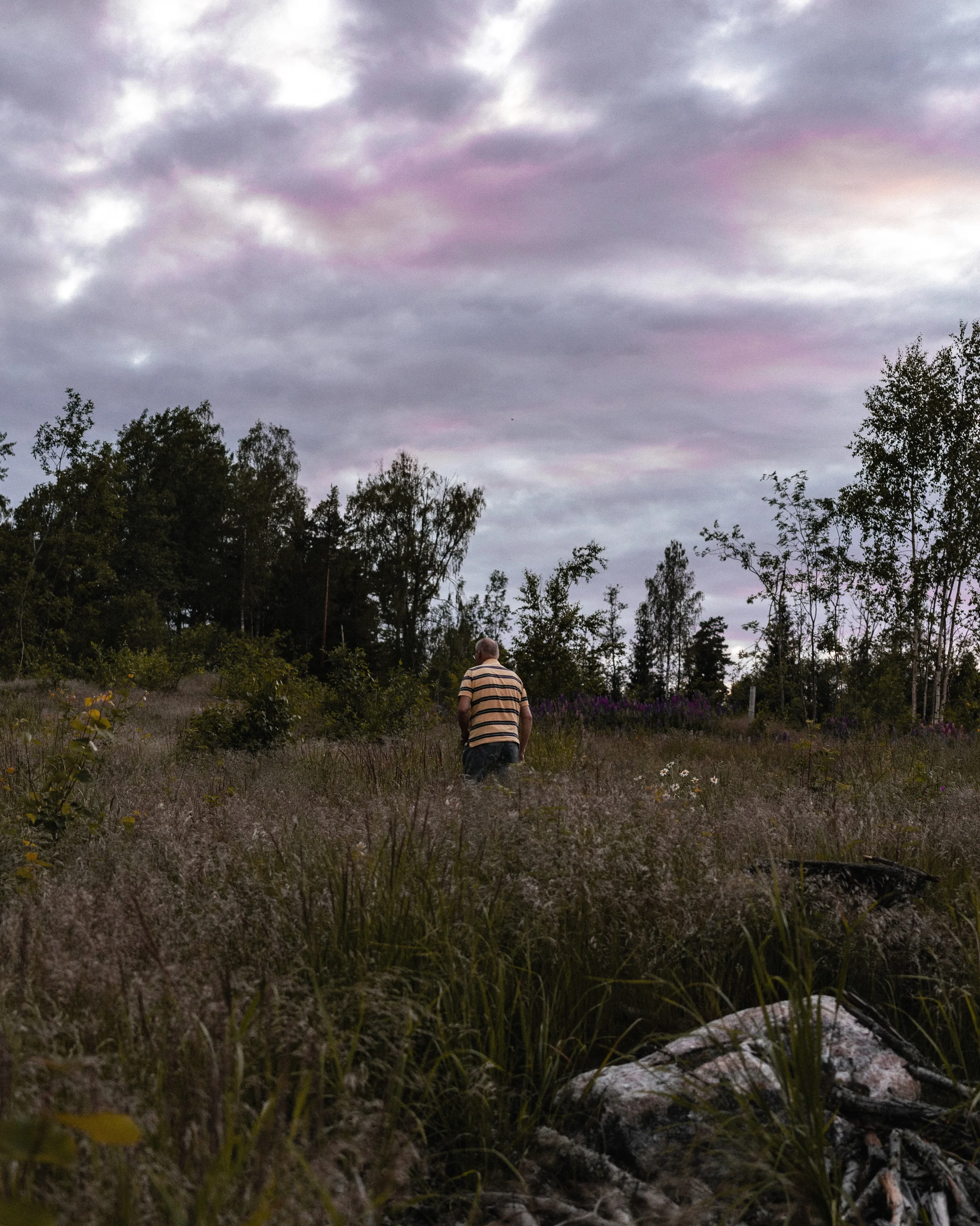A person walking through a meadow under a purple evening sky