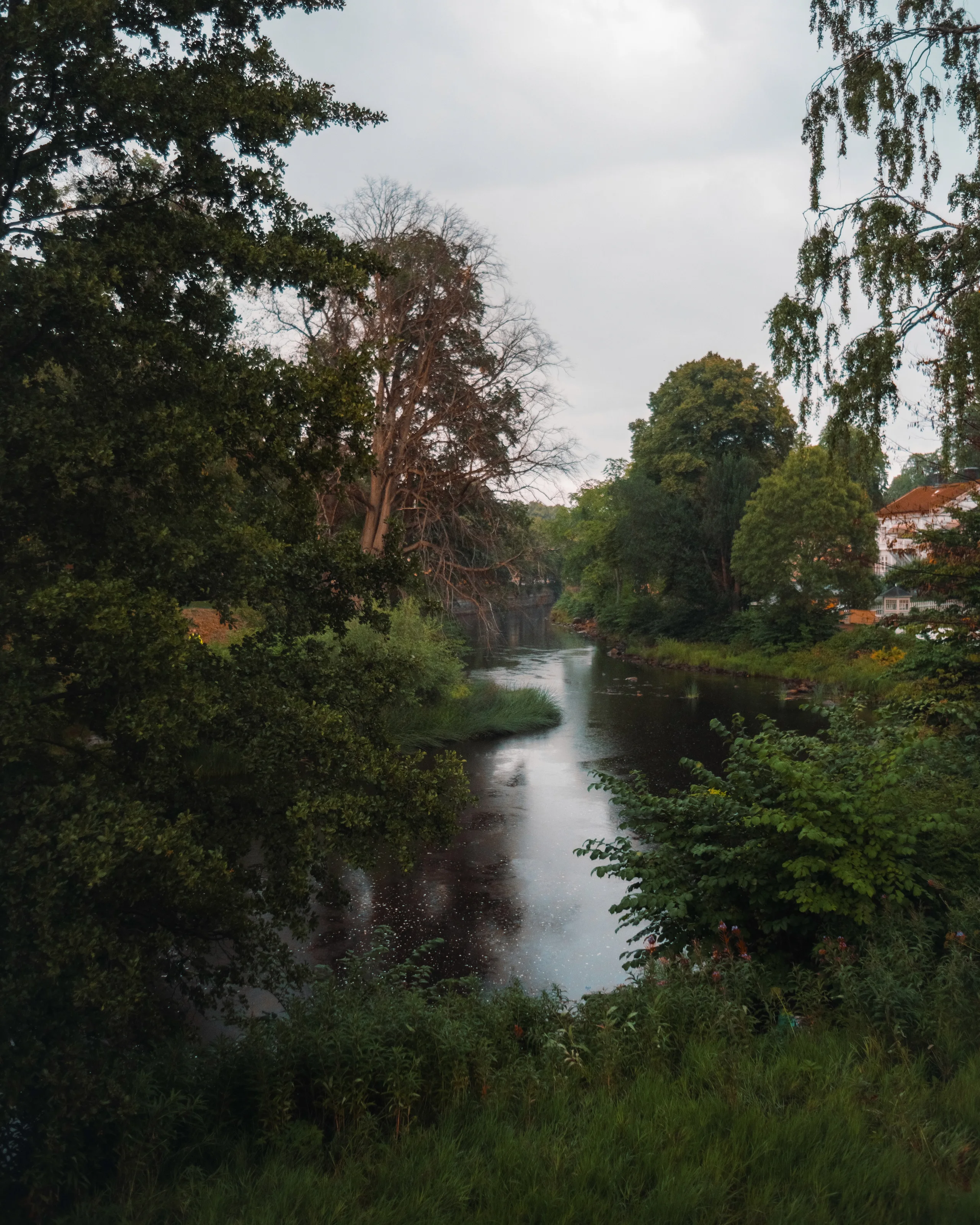 A narrow river winding between lush trees